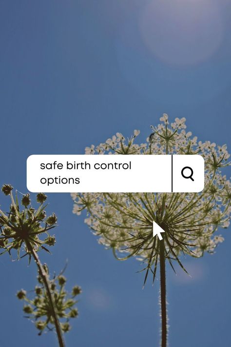 Did you know there is an herbal birth control recipe that you can make at home? Great information to have on hand. Natural Birth Control, Birth Control Options, Birth Control Pill, Medicine Herbs, Natural Alternatives, Birth Control Pills, Natural Birth, Holistic Medicine, Birth Control