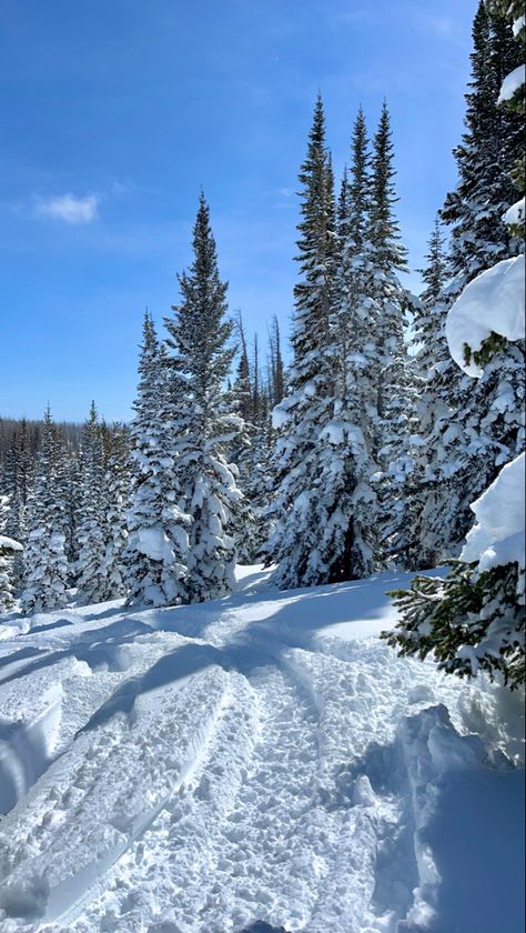 Wyoming Aesthetic Winter, Sledding Snowmobile, Wyoming Winter, Adventure Book Scrapbook, Skiing Aesthetic, Cheyenne Wyoming, Book Scrapbook, The Cowboy, Adventure Book