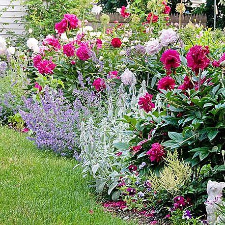 Peony Flower Garden, Dreamy Gardens, Gardening Inspiration, Herbaceous Border, Cottage Garden Design, Flower Garden Design, Garden Shrubs, Peonies Garden, Have Inspiration