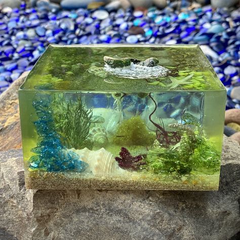 Sea Turtle Diorama, Mini Ecosystem, Ocean Diorama, Ocean Habitat, Ocean Aquarium, Clear Ocean, Ocean Waves Art, Beach Coasters, Mini Aquarium