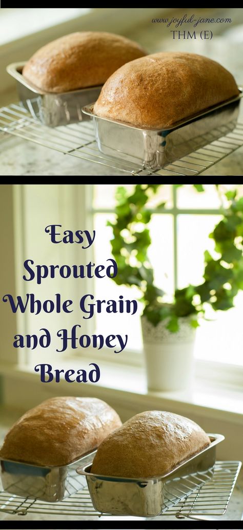 THM Easy Sprouted Whole Grain and Honey Bread Machine Bread (E) - Joyful Jane Sprouted Wheat Bread, Bread Machine Bread, Trim Healthy Mama Recipe, Thm E, Low Carb Healthy, Thm Breakfast, Trim Healthy Recipes, Sprouted Grain Bread, Sprouted Bread