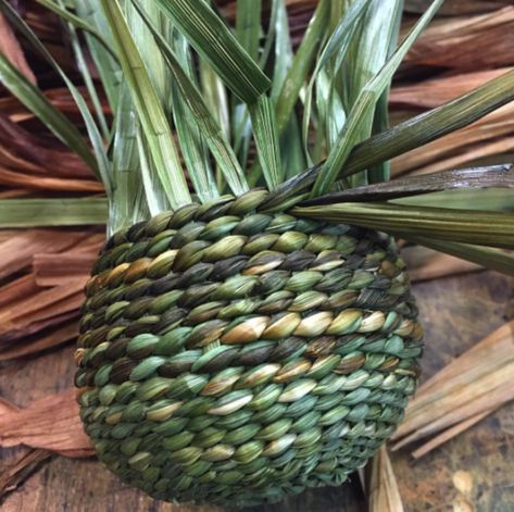 Baskets from the Garden: Harvesting Day Lily and Iris for Basket Weaving Harvest Day, Diy Nature, Weaving Baskets, Weaving Diy, Basket Weaving Diy, Basket Weaving Patterns, Grass Basket, Day Lily, Willow Weaving