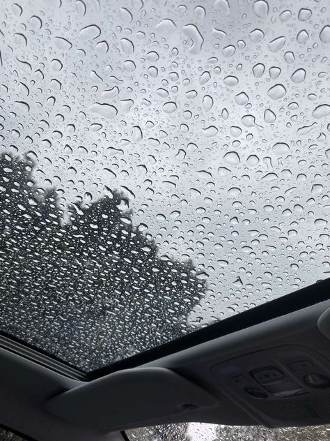 #rain#rainywindow#window#car#caraesthetic#aesthetic Raining Car Window Aesthetic, Rain Car Window, Capcut Backgrounds, Car Window Aesthetic, Car Window Rain, Window Aesthetic, Inside Car, Car Window, Palm Trees