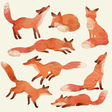 Academic Drawing, Fox Drawing, Fox Illustration, 강아지 그림, Fox Art, Animal Sketches, Children Illustration, Animal Illustration, Drawing Inspiration