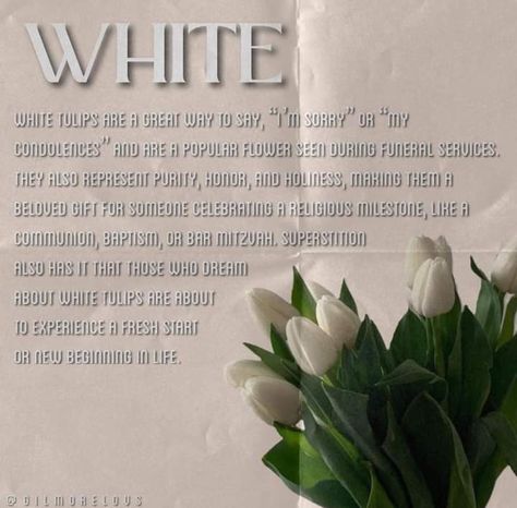 White Tulips Meaning, Flower Facts, Tulips Meaning, Outdoor Pallet Projects, Flower Language, Tulip Colors, Journal Inspiration Writing, Popular Flowers, Flower Meanings