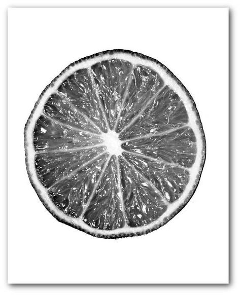 Lemon Drawing, Realism Portrait, Lime Slice, Fruit Artwork, Gray Art, Pencil Drawings For Beginners, Scratchboard Art, Fruits Drawing, Object Photography