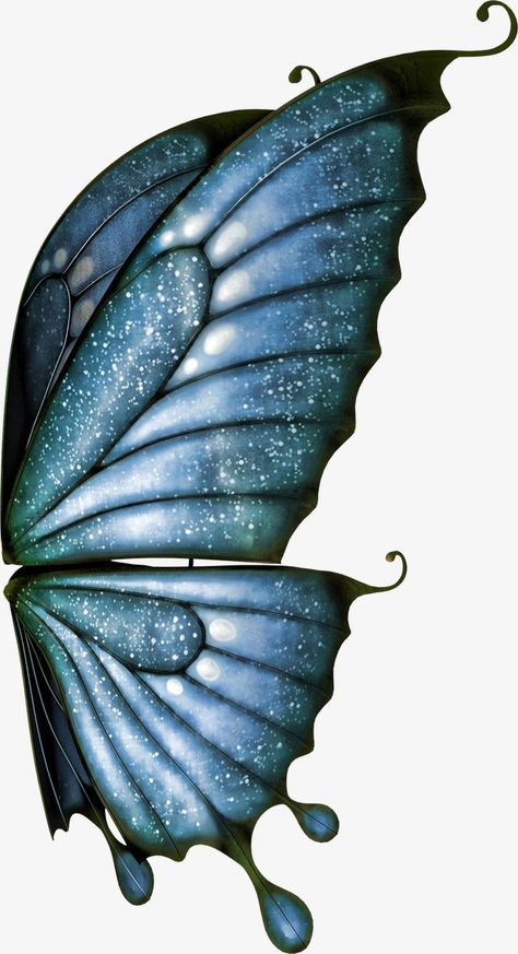 Butterfly Wings Art, Wings Png, Angel Wings Art, Butterfly Art Painting, Wings Drawing, Ange Demon, Wings Art, Butterfly Clip Art, Butterfly Drawing