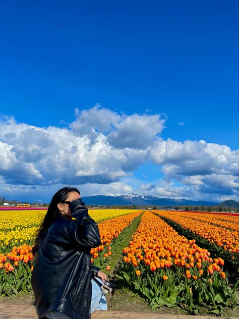 spring, tulip festival, washington, tulip season Tulip Festival Outfit, Tulip Festival Washington, Tulip Season, Tulip Festival, Tulip Fields, Spring Season, Photoshoot Ideas, Festival Outfit, Background Design