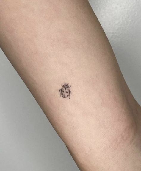 Dainty Bug Tattoos, Black And White Ladybug Tattoo, Fine Line Ladybug Tattoo, Dainty Ladybug Tattoo, Small Nature Tattoo, White Ladybug, Tattoos 2023, Ladybug Tattoo, Tiny Finger Tattoos