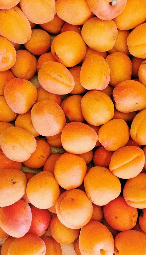 Le Orange à Rungis : L'Abricot ! Food Wallpapers, Aesthetic Objects, Fruit Wallpaper, Fruit Photography, Food Wallpaper, Orange Aesthetic, Orange Wallpaper, Nectarine, Aesthetic Colors