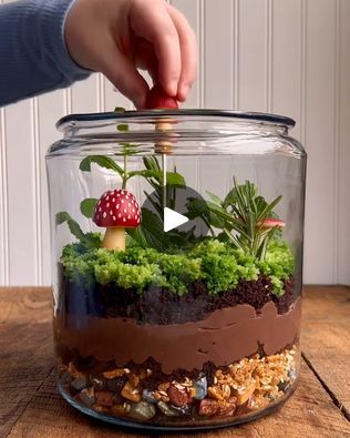 898K views · 17K reactions | Edible Terrarium 🍄 | This edible terrarium is beautiful and delicious! 🍄🌱 | By FOODbibleFacebook Edible Terrarium, Terraria Cake, Tea Cakes, Terrarium, Good Food, Cake