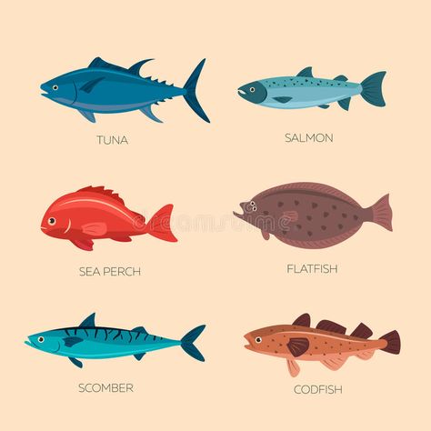 Cute cartoon flat fishes royalty free illustration Flat Fish, Mughal Art Paintings, Warriors Illustration, Fish Icon, Cartoon Chicken, Tuna Fish, Salmon Fish, Creative Flyer Design, Fish Vector