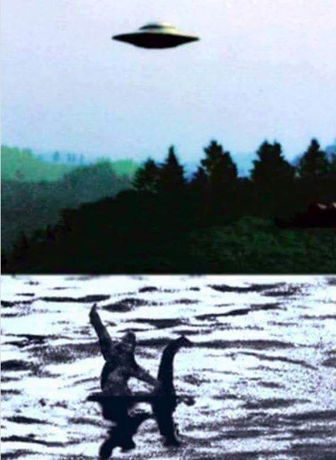 sasquatch riding loch ness monster  guided by a UFO Cool Memes, Memes Dirty, Arte Robot, Loch Ness Monster, Loch Ness, Relationship Memes, Hump Day, Internet Funny, Best Memes