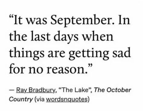 Aesthetic Autumn, Ray Bradbury, Literature Quotes, Sylvia Plath, Literary Quotes, Poem Quotes, Fall Aesthetic, Some Words, A Quote