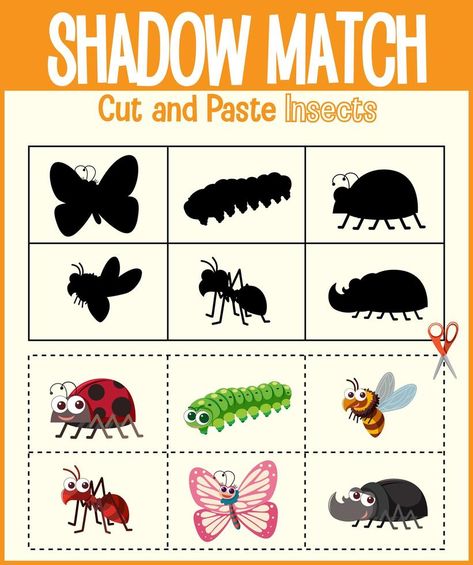 Find the correct shadow, shadow match worksheet Insect Shadow Matching, Match Worksheet, Zebra Craft, Shadow Activities, Shadow Shadow, Animated Clipart, Shadow Images, Kindergarden Activities, Preschool Colors