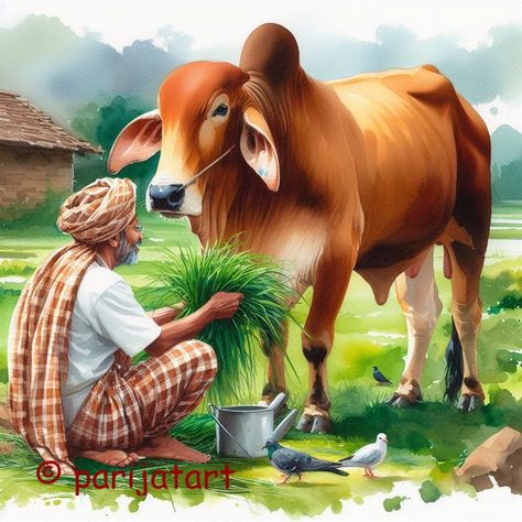 Indian Agriculture Painting, Farmer Painting, Cow Sketch, Indian Drawing, Cow Illustration, Human Figure Sketches, Men Health, Colors Painting, Dslr Background