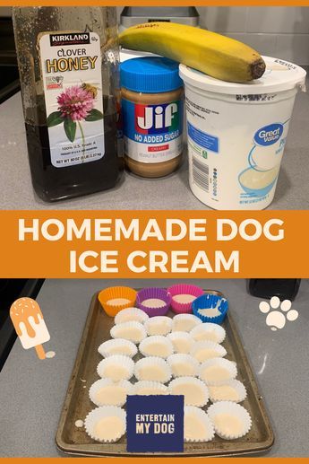 Frosty Paws Recipe Frozen Dog Treats, Homemade Frosty Paws, Homemade Dog Ice Cream Frosty Paws, Home Made Frozen Dog Treats, Frozen Bowl For Dogs, How To Make Dog Ice Cream, Puppy Ice Cream Recipes, Dog Ice Cream Recipe Homemade, Homemade Dog Ice Cream