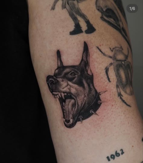 Vicious Dog Tattoo, Barking Doberman Tattoo, Growling Dog Tattoo, Barking Dog Tattoo, Rockstar Tattoo, Dj Tattoo, Doberman Tattoo, Story Tattoo, Taboo Tattoo