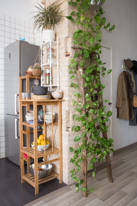 plant hanging on a ladder Plant Decor Indoor, House Plants Decor, Spanish House, Container Garden, Office Interior, Home Decor Tips, Home Decor Kitchen, 인테리어 디자인, Home Decor Bedroom