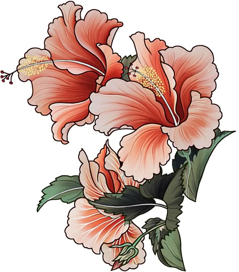 Neotraditional Lily Flower, Hibiscus Neotraditional Tattoo, Neo Traditional Hibiscus, Neo Traditional Hibiscus Tattoo, Japanese Flowers Drawing, Japanese Flower Drawing, Neotrad Flowers, Neo Trad Flowers, Neo Traditional Flowers