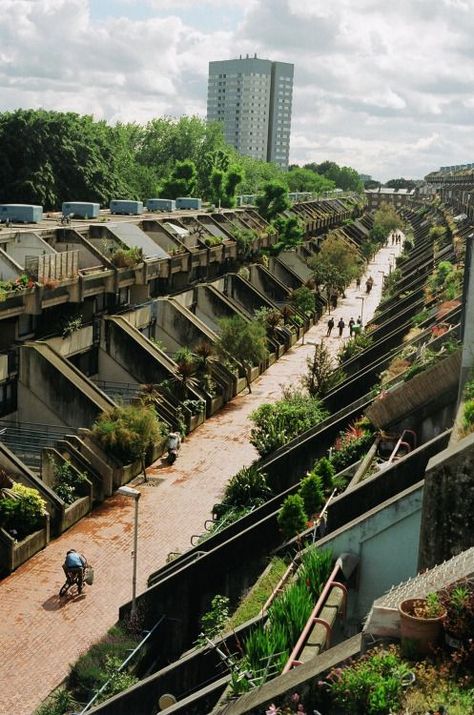 Lots Of Plants, Brutalism Architecture, Eco Architecture, Green Architecture, Brutalist Architecture, Urban Architecture, Futuristic City, Brutalism, Futuristic Architecture