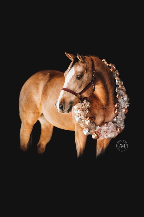 Horse Wreath Photoshoot, Horse Wreath, Photo Horse, Horse Portraits, Photography Horse, Animals Horse, Horse Wreaths, Christmas Pets, Pictures With Horses