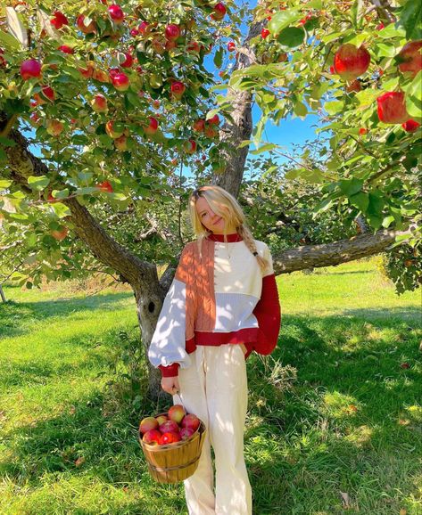 Apple Picking Pictures, Apple Picking Photos, Apple Picking Outfit, Fall Outfit Inspiration, Fall Inspo, Apple Orchard, Fall Photoshoot, Instagram Pose, Apple Picking