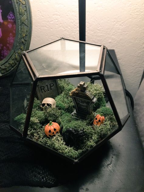 Halloween decor!! Halloween Terrarium, Geometric Terrarium Wedding, Terrarium Centerpiece, Cactus Terrarium, Terrarium Wedding, Halloween Decor Diy, Hanging Terrarium, Casa Halloween, Diy Halloween Decor