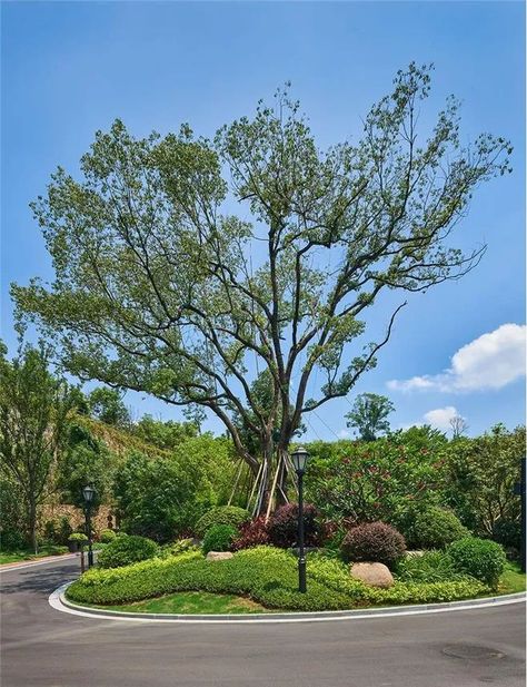 Front House Design Entrance, House Design Entrance, Softscape Design, Front House Design, House Landscaping Ideas, Shrubs For Landscaping, Rustic Landscaping, Remodel House, Landscape Design Drawings