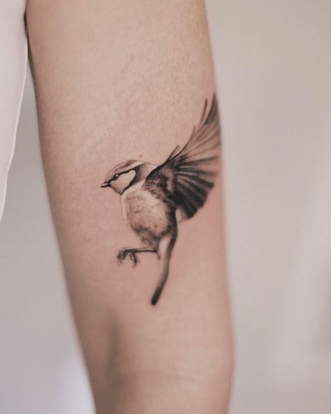 Single Line Arm Tattoo, Two Bird Tattoos For Women, 2 Birds Tattoo, Parakeet Tattoo, Ego Tattoo, Little Birds Tattoo, Kingfisher Tattoo, Two Birds Tattoo, Inspiring Tattoos