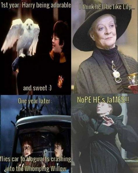 Hogwarts Funny, Harry Potter Humor, Fanfiction Recommendations, Funny Harry Potter, Citate Harry Potter, Glume Harry Potter, Harry Potter Quiz, Funny Harry Potter Jokes, Harry Potter Memes Hilarious