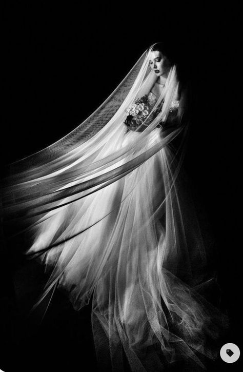 Foto Wedding, Brides Dress, Wedding Picture Poses, Professional Wedding Photography, Bride Portrait, Bridal Photoshoot, Foto Tips, Black White Wedding, Bride Photography