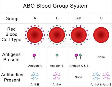 Abo Blood Group System, Blood Group, Medical Astrology, Study Strategies, Biology Facts, Blood Groups, Study Flashcards, School Organization Notes, Medical Design