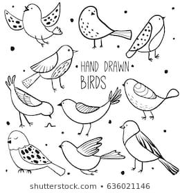 Banner Doodle, Bird Doodle, Arte Doodle, Bird Sketch, Animal Doodles, 강아지 그림, Pola Sulam, Bird Drawings, Journal Doodles