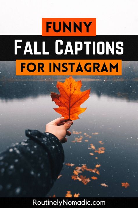 Person holding up fall leaf with funny fall captions for Instagram Fall Humor Quotes, Funny Fall Pictures, Fall Instagram Captions Funny, Funny Fall Quotes Autumn, Fall Couple Quotes Instagram, Fall Instagram Captions With Friends, Ready For Fall Quotes Funny, Funny Fall Quotes Autumn Hilarious, Leaf Captions For Instagram