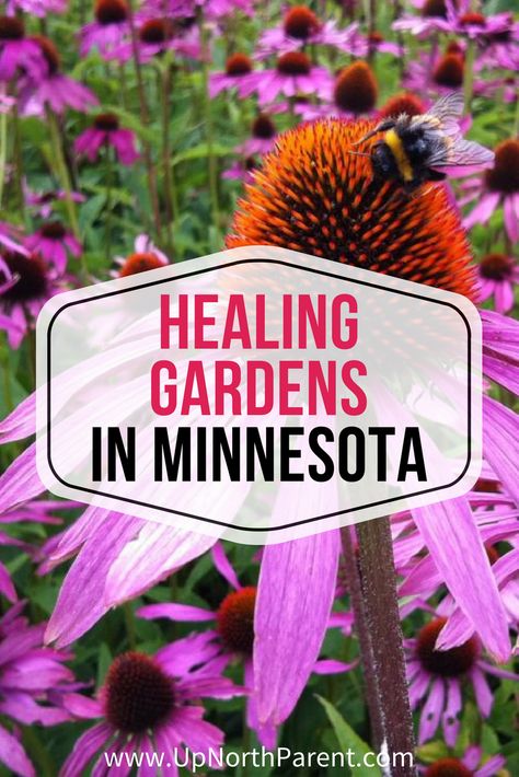 The Up North Parent Healing Gardens Tour: a list of healing gardens in Minnesota that are a must visit! #garden #healinggarden #minnesota Minnesota Yard Landscaping, Gardening In Minnesota, Mn Native Landscaping, Minnesota Flower Garden Ideas, Minnesota Native Garden, Minnesota Gardening, Minnesota Garden, Landscaping Around House, Minnesota Landscaping