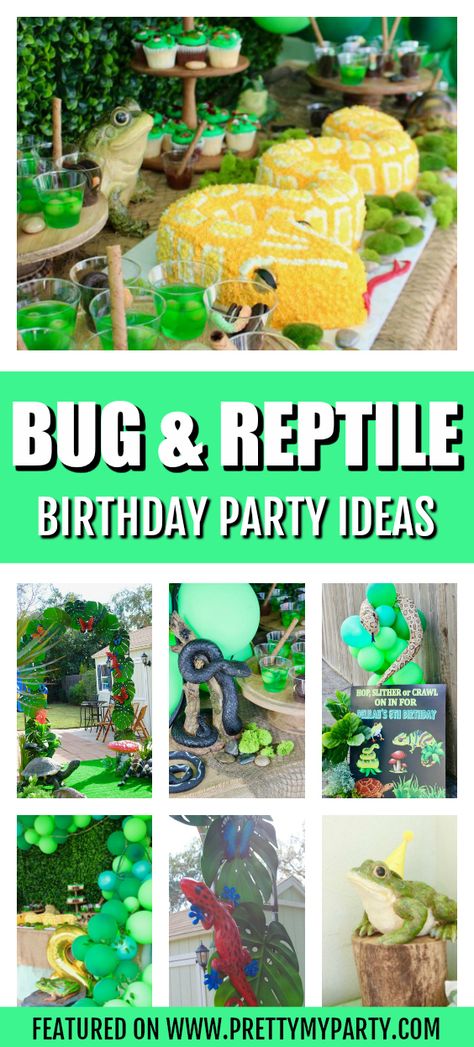 Bug and Reptile Themed Birthday Party on Pretty My Party Reptile Theme Party Food, Reptile Zoo Birthday Party, Reptile Party Centerpieces, Rainforest Party Ideas, Leopard Gecko Birthday Party, Lizard Birthday Party Ideas, Reptile Themed Birthday Party Decorations, Gecko Party Ideas, Reptile Party Decor