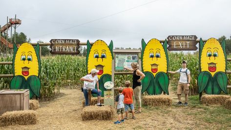 Maze Entrance, Corn Maze Ideas, Harvest Background, Fall Porch Signs, Farm Vbs, Agritourism Farms, Corn Party, Farm Market Ideas, Farm Tourism