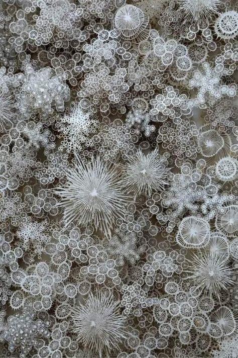 Snow under microscope. Photographer unknown. Nature Knowledge, Visuell Identitet, Microscopic Photography, Matka Natura, Under A Microscope, Snow Flakes, Things Under A Microscope, Paper Sculpture, Patterns In Nature