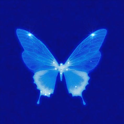 Blue Butterfly Icon, Glowing Blue Butterfly, Blue Butterfly Aesthetic, Butterfly Pfp, Blue Pfp, 2000s Icons, Blue Aesthetic Dark, Blue Core, Cute Blue Wallpaper