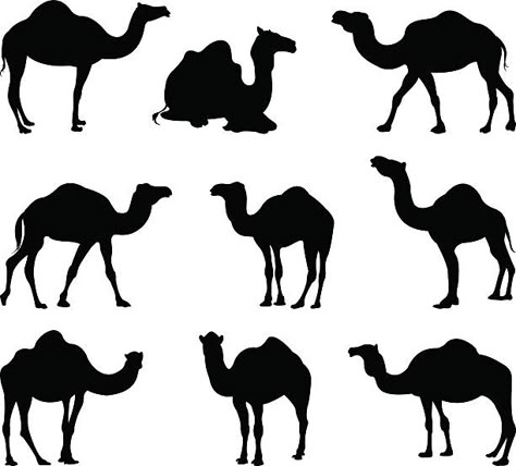 Islamic Bg, Camel Tattoo, Bears Tattoo, Bday Tattoo, Camel Craft, Camels Illustration, Free Tattoo Fonts, Elephant Sketch, Camels Art