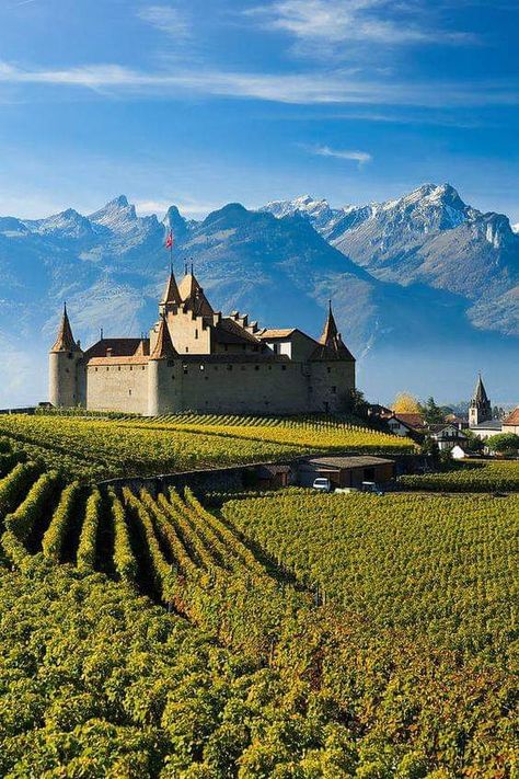 Château d'Aigle et les vignes de Lavaux dans le Canton de Vaud en Suisse Romande. Vaud Switzerland, Switzerland Places To Visit, Castle Chateau, Switzerland Tourism, Places In Switzerland, European Castles, Chateau France, Voyage Europe, Zurich Switzerland