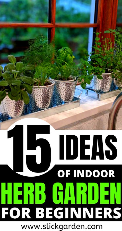 Planting Herbs Indoors, Window Sill Herb Garden, Herbs To Grow Indoors, Indoor Herb Garden Diy, Windowsill Herb Garden, Window Herb Garden, Salad Garden, Ladder Ideas, Best Herbs To Grow