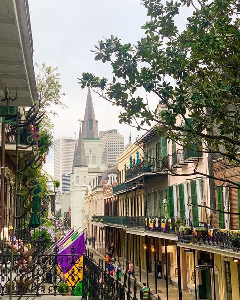 Creole Aesthetic, New Orleans Architecture, St Louis Cathedral, Queen Of The South, New Orleans City, New Orleans French Quarter, Cultural Capital, New Orleans Travel, Best University