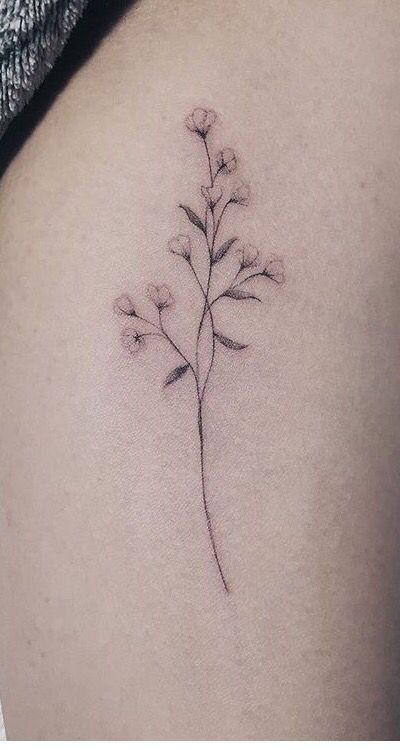 Malva Flower Tattoo, Gypsophila Tattoo, Baby Breath Tattoo, Breath Tattoo, Flor Tattoo, Wildflower Tattoo, Dainty Tattoos, Baby Tattoos, Elegant Tattoos