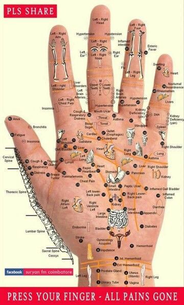 Bolesti Chrbta, Hand Reflexology, Reflexology Chart, Acupressure Points, Free Life, Morning Yoga, Reflexology, Health Info, Acupressure