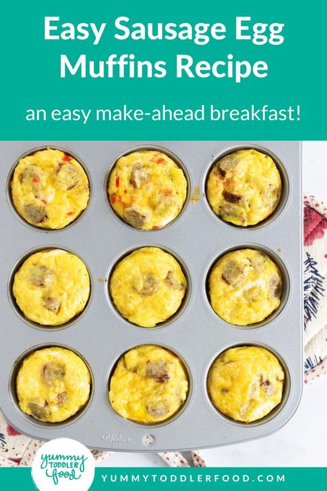 These Sausage Egg Muffins are the perfect easy make-ahead breakfast idea. These are scrambled eggs with just a bit of flour, added cheese, and any added toppings you like including sausage, or bacon, or veggies. These egg bites or egg cups are delicious and fun. These are so simple to make and easy to store in the freezer and heat up for breakfast on the go. These Sausage Egg Muffins are a must-try. Sausage Breakfast Muffins, Egg Recipes For Kids, Sausage Egg Muffins, Breakfast Calories, Egg Cups Breakfast, Healthy Egg Breakfast, Toddler Breakfast, Warm Breakfast, Quick Breakfast Recipes