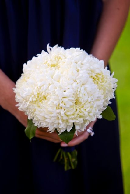 White Football Mums + Green Foliage Bridesmaid's Wedding Posy •••• Chrysanthemum Bridal Bouquet, Carnation Bouquets, Chrysanthemum Wedding Bouquet, Unusual Bouquets, Diy Fall Wedding Bouquets, Navy Blue And White Wedding, Sunflower Bridesmaid Bouquet, Fall Wedding Bouquets Burgundy, Dahlia Bridal Bouquet