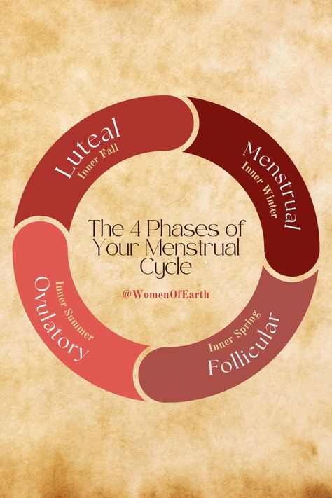 The 4 menstrual cycle phases! Explore insights, tips, and guidance to better understand and embrace each stage of your cycle with Women of Earth 🌺 Women Of Earth, Women Cycle, Cycle Phases, Menstrual Cycle Phases, Self Care Bullet Journal, Women Health, Cycling Women, Womens Health, The 4