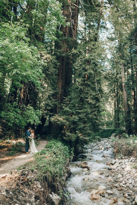 Glen Oaks Big Sur Wedding // Laura Goldenberger Photography Photography Artistique, Big Sur Wedding, Artistic Wedding Photography, The Redwoods, Beautiful Wedding Photography, Artistic Wedding, Pictures Photography, Art Photos, Photography Portrait